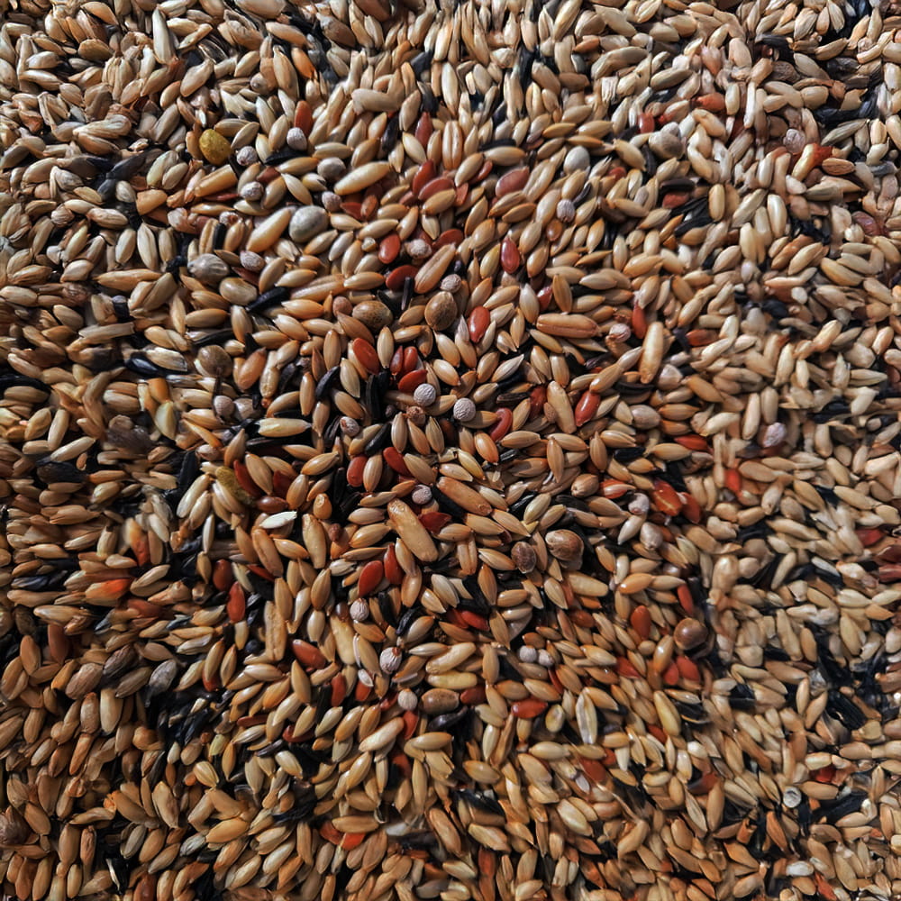 Vitapol Pokarm Dla Kanarka Economic 1200g